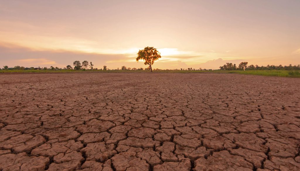 Southern Africa is heading into a rainfall season shaped by a rapidly strengthening El Niño, with forecasters warning that most of the region will receive below-normal rainfall between October and December this year.