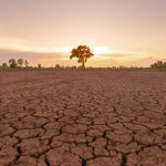 Southern Africa is heading into a rainfall season shaped by a rapidly strengthening El Niño, with forecasters warning that most of the region will receive below-normal rainfall between October and December this year.