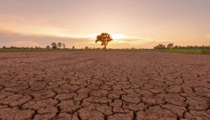 Southern Africa is heading into a rainfall season shaped by a rapidly strengthening El Niño, with forecasters warning that most of the region will receive below-normal rainfall between October and December this year.