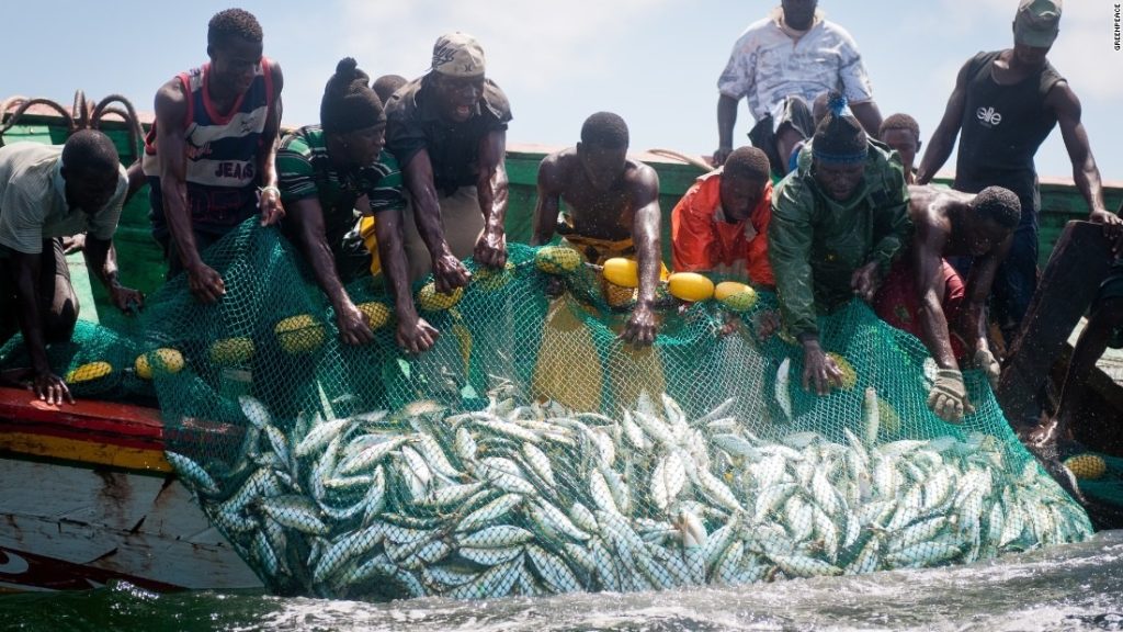 Over exploitation of Africa’s fisheries