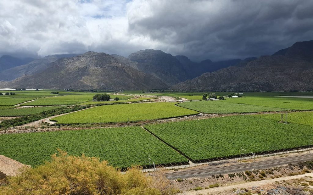 Farm fields