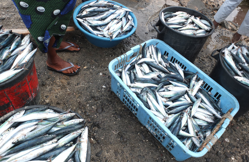 Fishing communities
