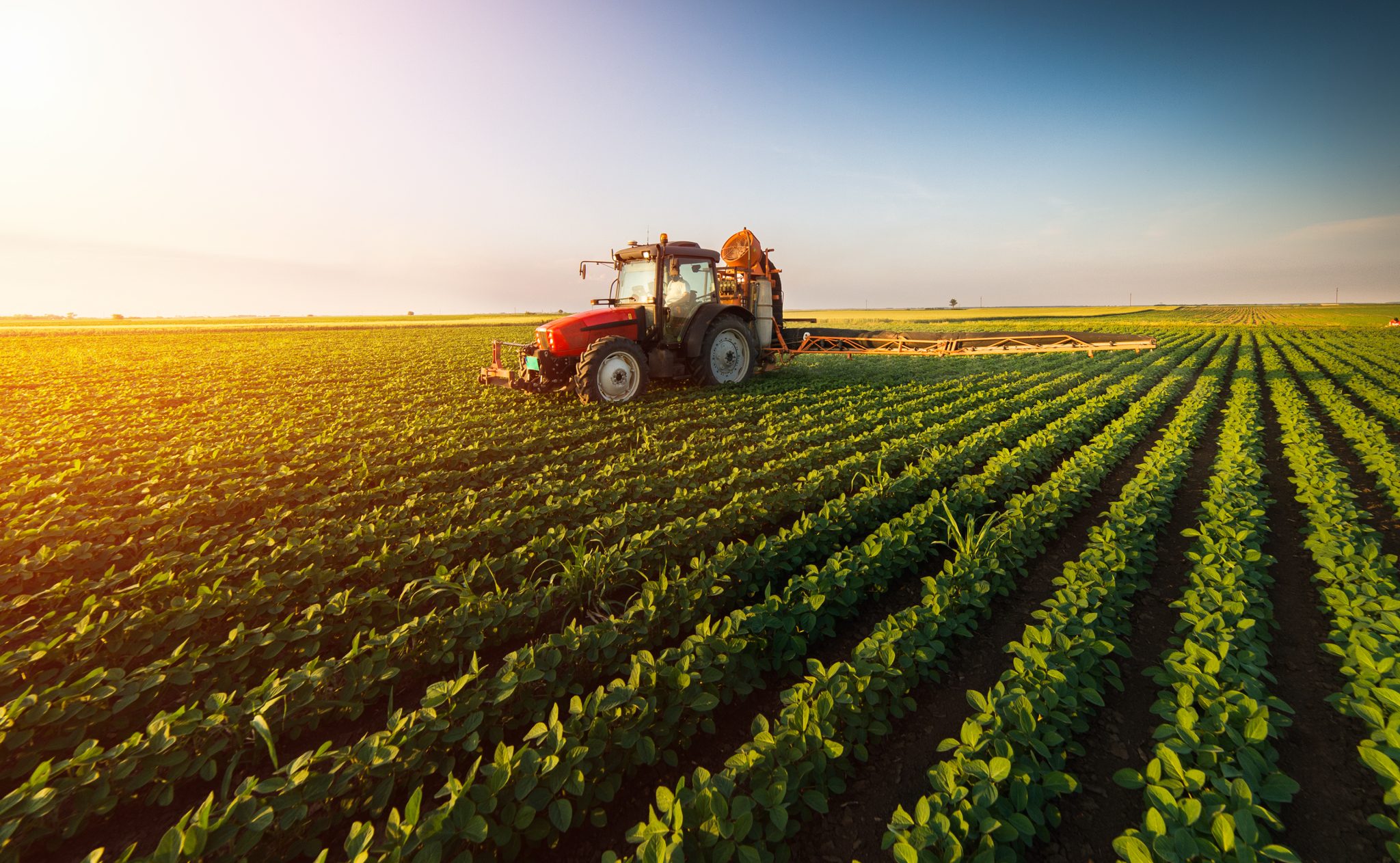 A tractor working in the fields