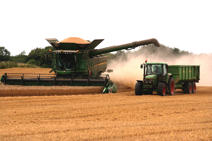 A combine harvester transfers grain into a trailer during harvesting. Sudan’s October-to-January harvest faces threats from conflict, poor rainfall and rising farming costs.