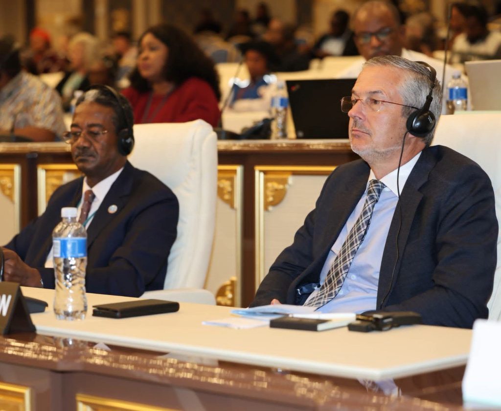 Delegates follow proceedings at the summit in Ezulwini.