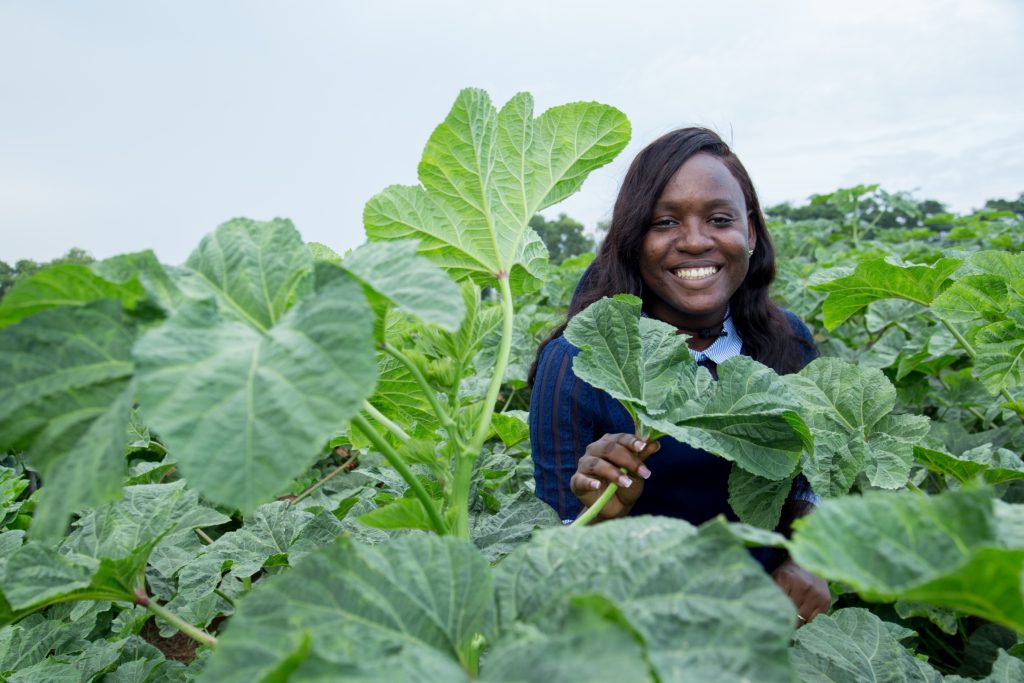 Afokpe in a vegetable field. Her research challenges assumptions about the commercial potential of indigenous African crops.