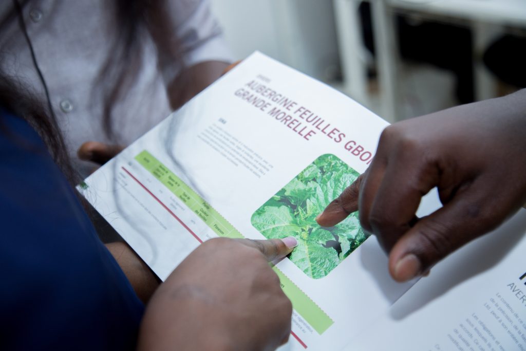 A catalogue entry for the Sika gboma variety, developed through Afokpe’s work on indigenous African vegetables.