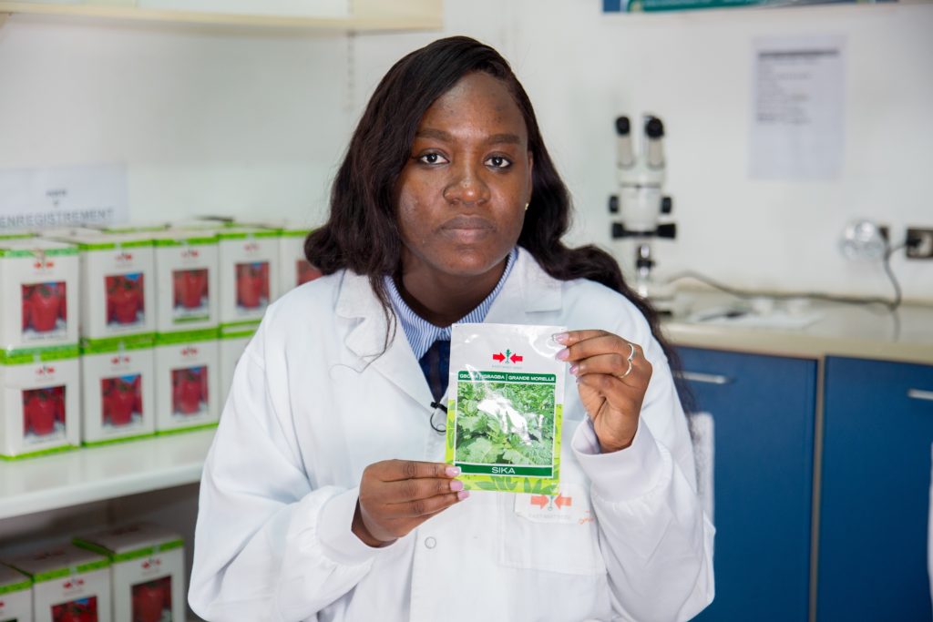 Afokpe holds a packet of Sika, a gboma variety with intermediate tolerance to bacterial wilt and a longer shelf life.